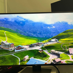 Dell U4320Q 모니터 직거래