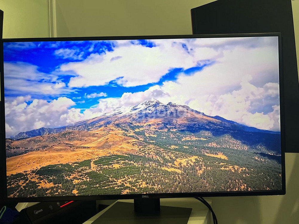 Dell U4320Q 모니터 직거래--1