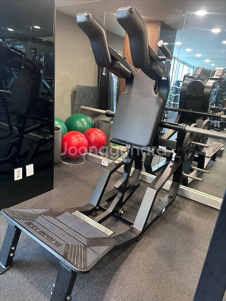 스트랭스 라이프 브이 스쿼트 밑 레그 익스 텐션 팝니다--0