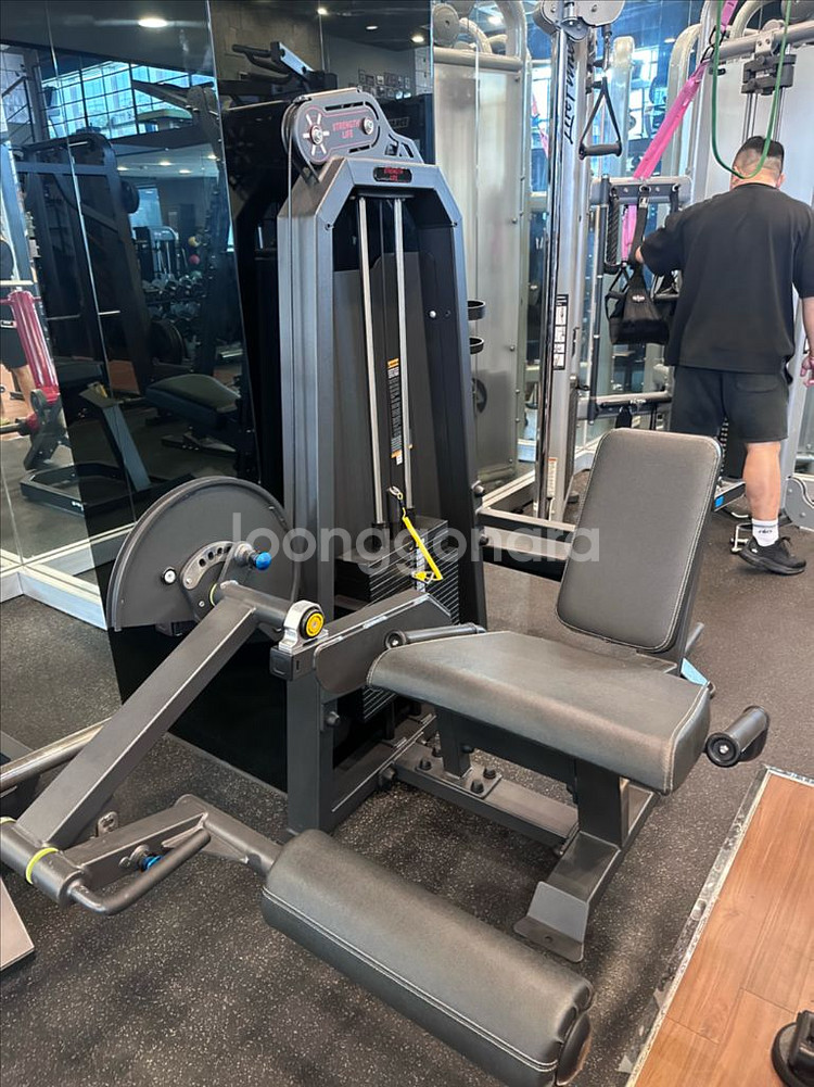 스트랭스 라이프 브이 스쿼트 밑 레그 익스 텐션 팝니다--2