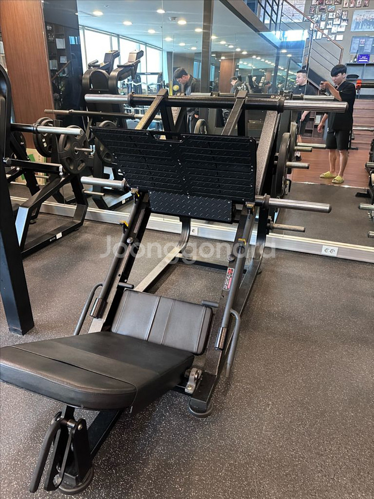 뉴텍 파워 레그 프레스 판매 합니디--0