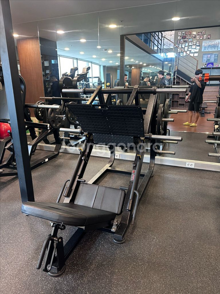 뉴텍 파워 레그 프레스 판매 합니디--1