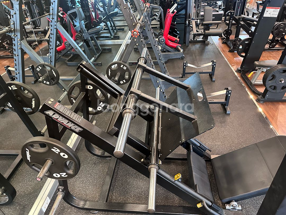 뉴텍 파워 레그 프레스 판매 합니디--2