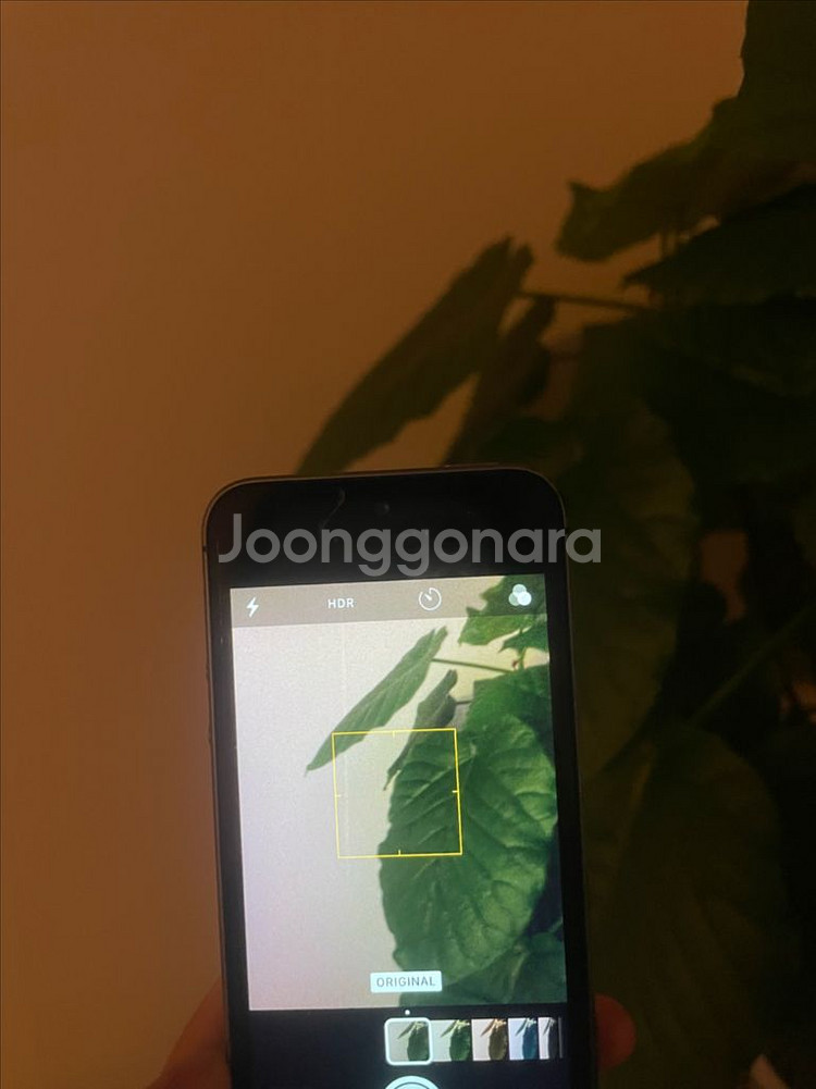 올드아이폰) 아이폰5s 32gb 스페이스그레이 북미리퍼--4