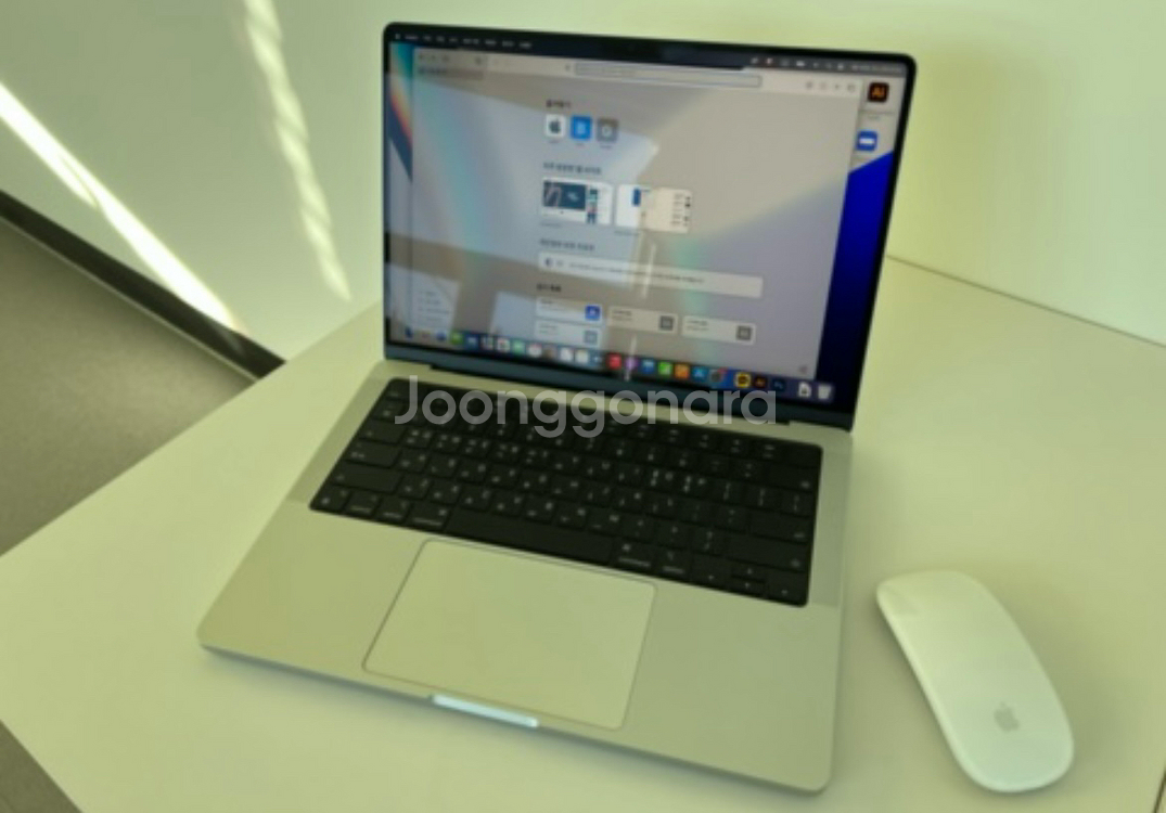 맥북프로 14인치 m1 pro 21년형 + 매직마우스--2