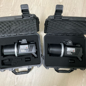 고독스 스트로브 2개