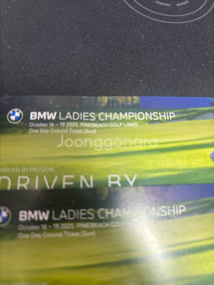 bmw 레이디스 챔피언쉽티켓 (일요일)--0
