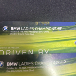 bmw 레이디스 챔피언쉽티켓 (일요일)