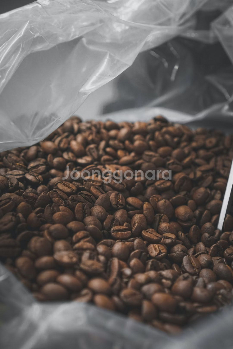 연습용 원두 팝니다.--0