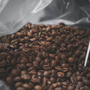 연습용 원두 팝니다.