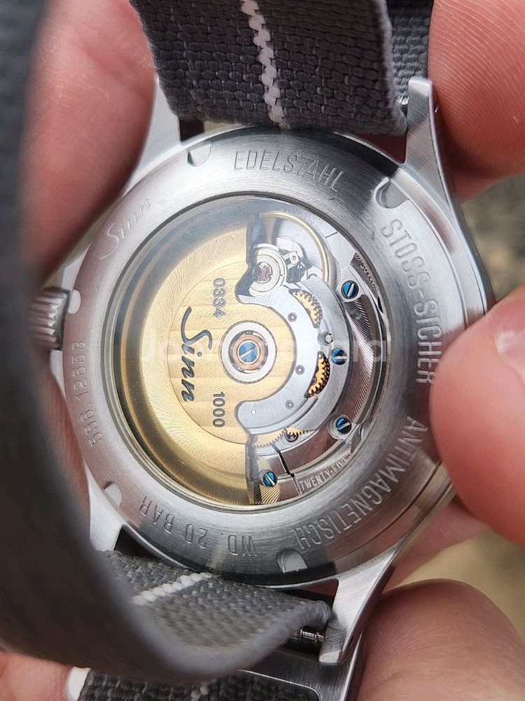 sinn 556 Anniversary--1