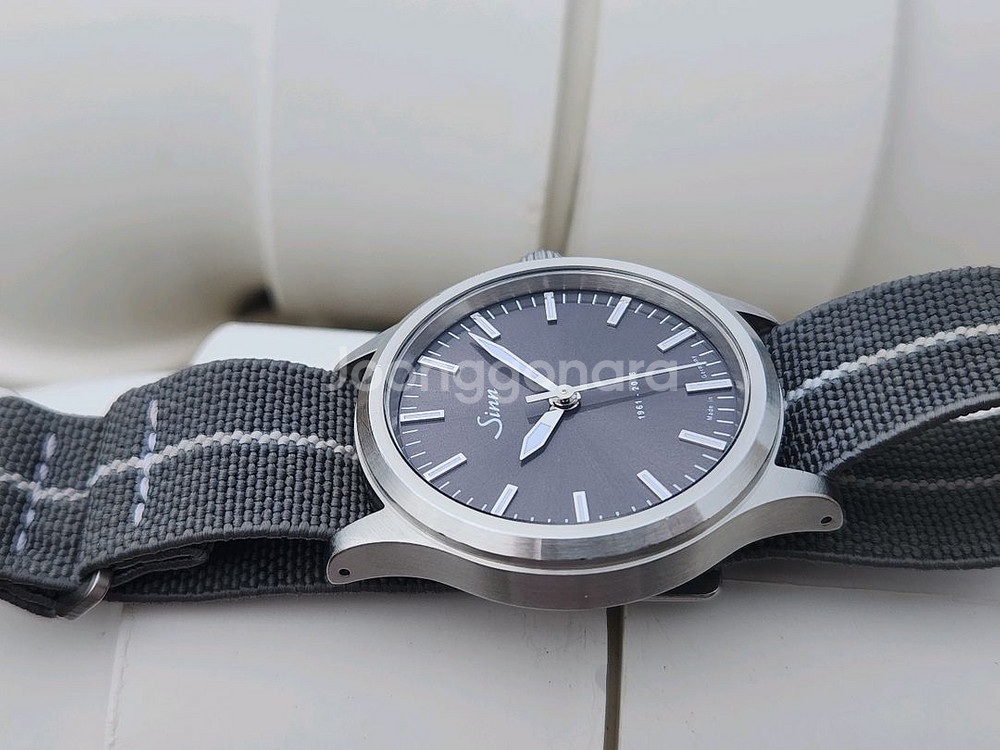 sinn 556 Anniversary--0