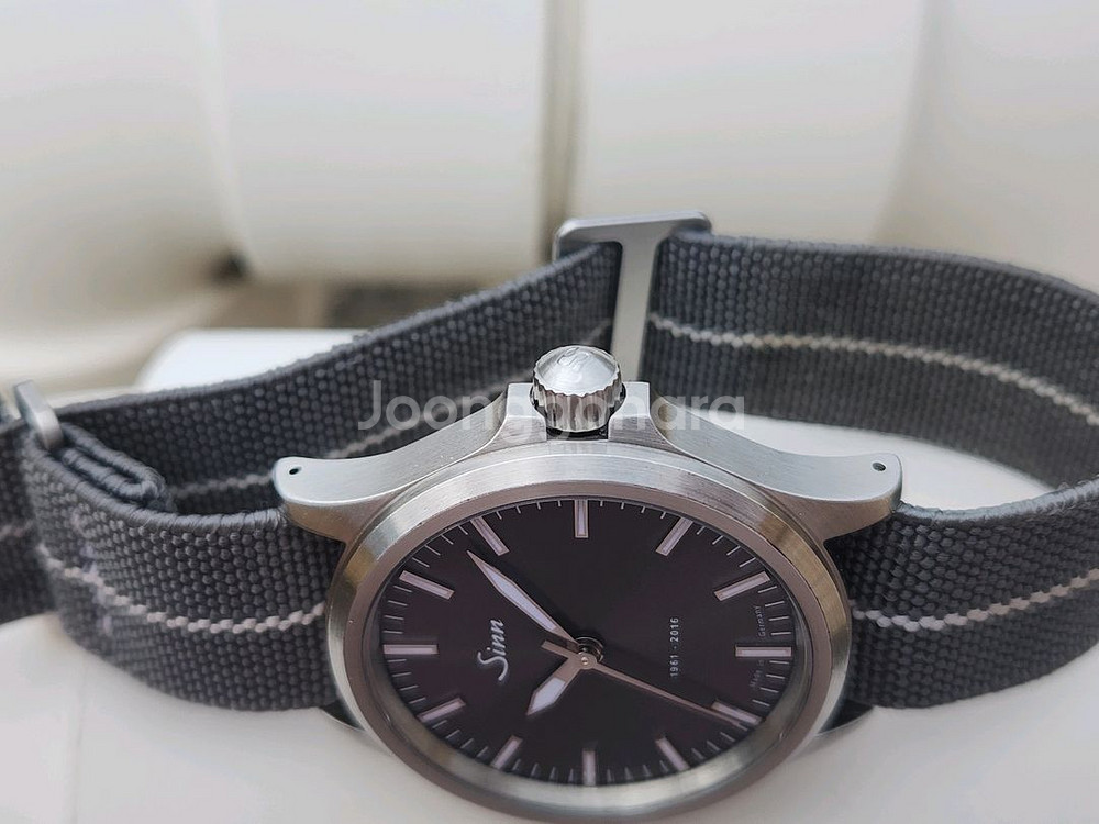 sinn 556 Anniversary--6