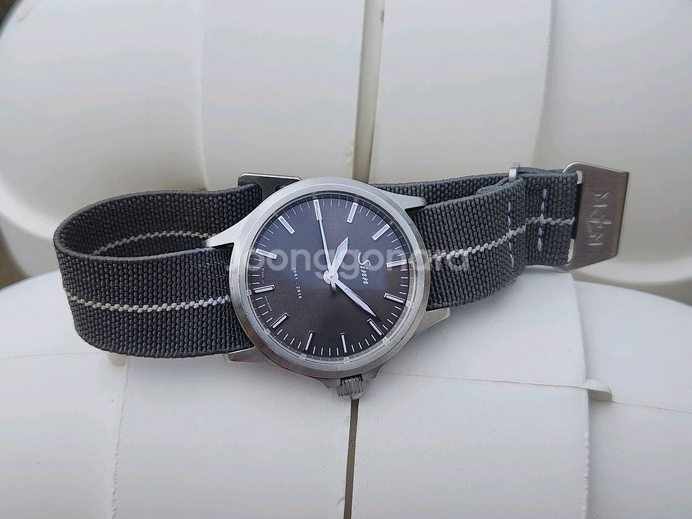 sinn 556 Anniversary--4