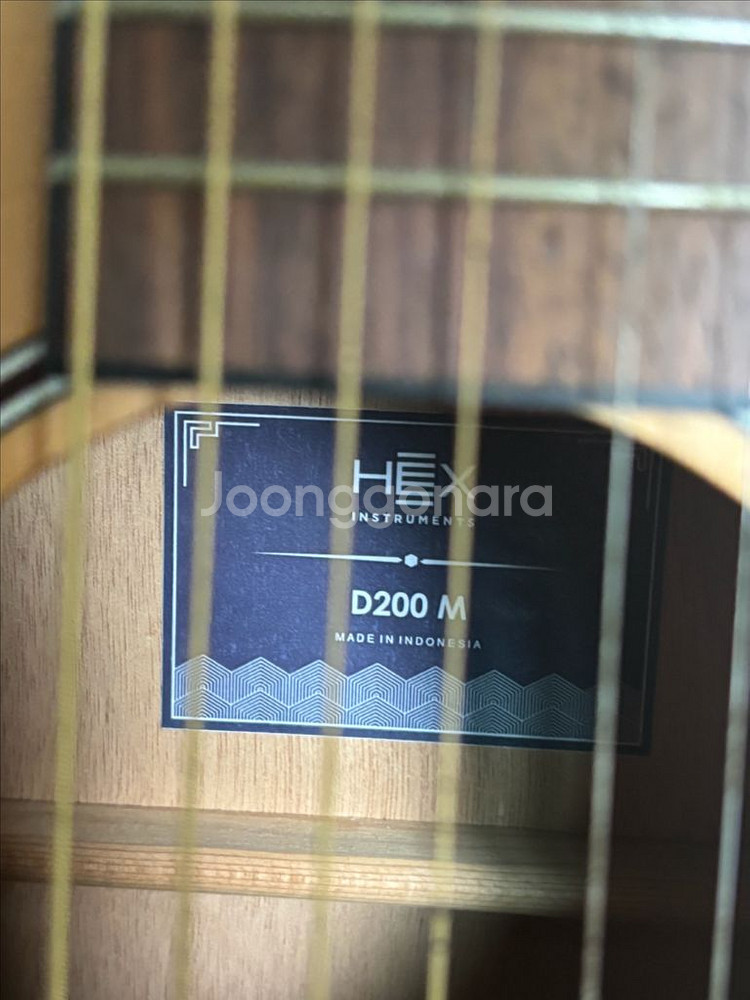 헥스 D200M 어쿠스틱 기타--2
