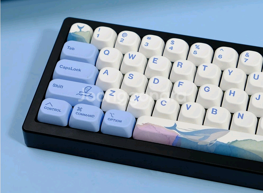 고래 MOA 키캡 PBT 염료승화 135키 하늘고래 독--3