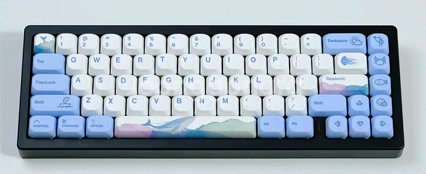 고래 MOA 키캡 PBT 염료승화 135키 하늘고래 독--4