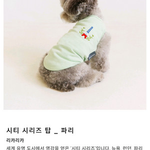 리카리카 프랑스파리 자수 티셔츠 강아지옷 민트 2XL