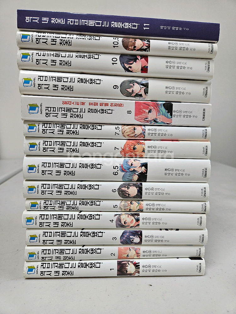 소설책--1