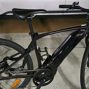 자이언트 전기자전거 패스트sr