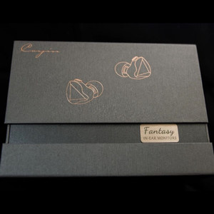 Cayin Fantasy 인이어 모니터 이어폰 세트