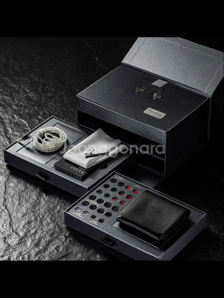 Cayin Fantasy 인이어 모니터 이어폰 세트--1