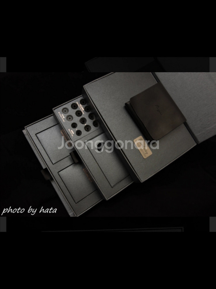 Cayin Fantasy 인이어 모니터 이어폰 세트--3