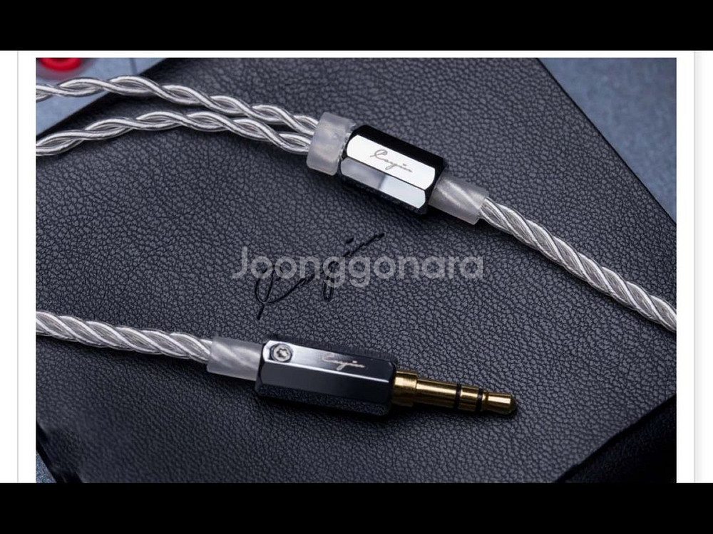 Cayin Fantasy 인이어 모니터 이어폰 세트--2