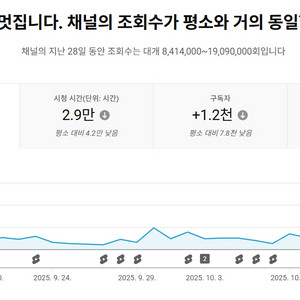 (48시간 100만이상) 유튜브 일본 채널 구독자11만