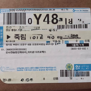 컬러스케일 반사캔슬링 아이폰 15 프로맥스