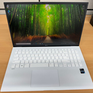 LG gram 15 그램 노트북 i7/512GB 초고속