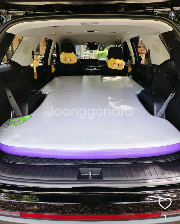 에어박스 펠리세이드 팰리세이드 에어매트--0