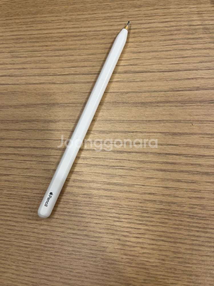 애플펜슬2 + 펜촉 다수--0