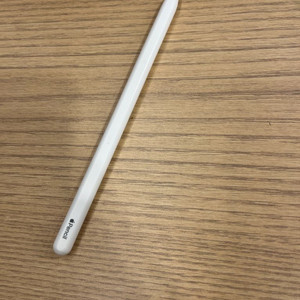 애플펜슬2 + 펜촉 다수