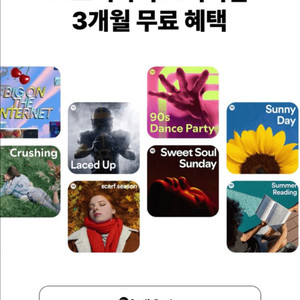 스포티파이 프리미엄 3개월 이용권