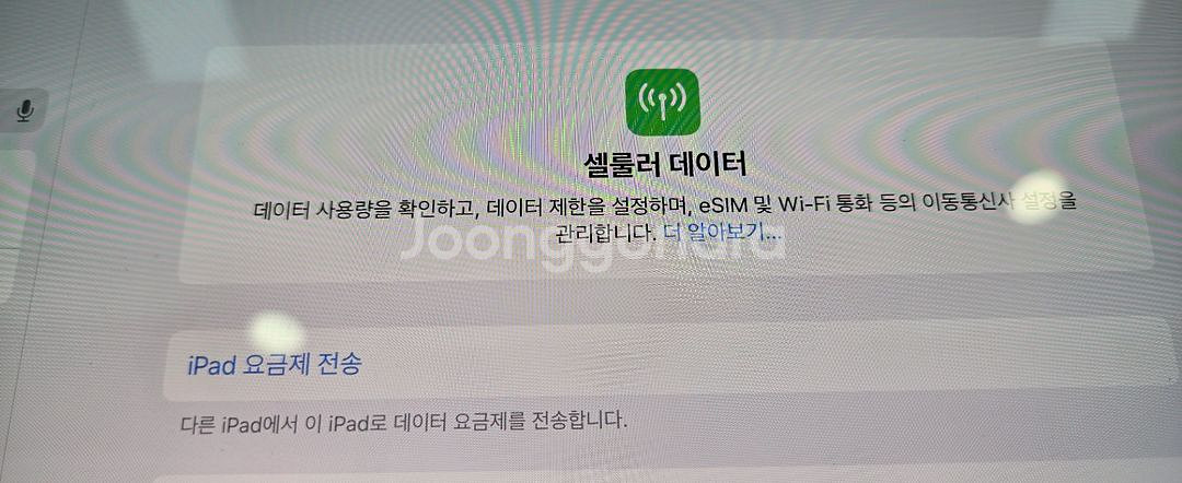 아이패드 프로 13 M4 512G 5G--2