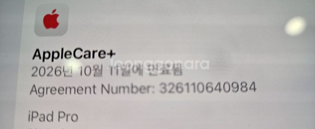 아이패드 프로 13 M4 512G 5G--3