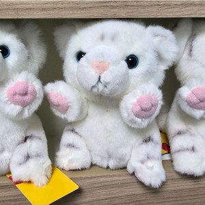 에버랜드 백호인형 새제품 이미지