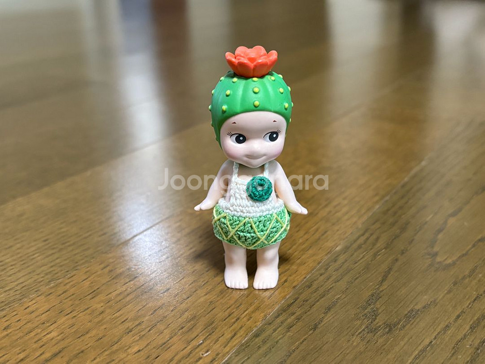 소니엔젤 2018 선인장--0