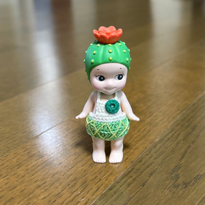 소니엔젤 2018 선인장