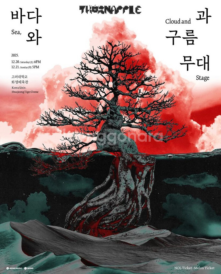 쏜애플 콘서트 대리 티켓 진행합니다.--0