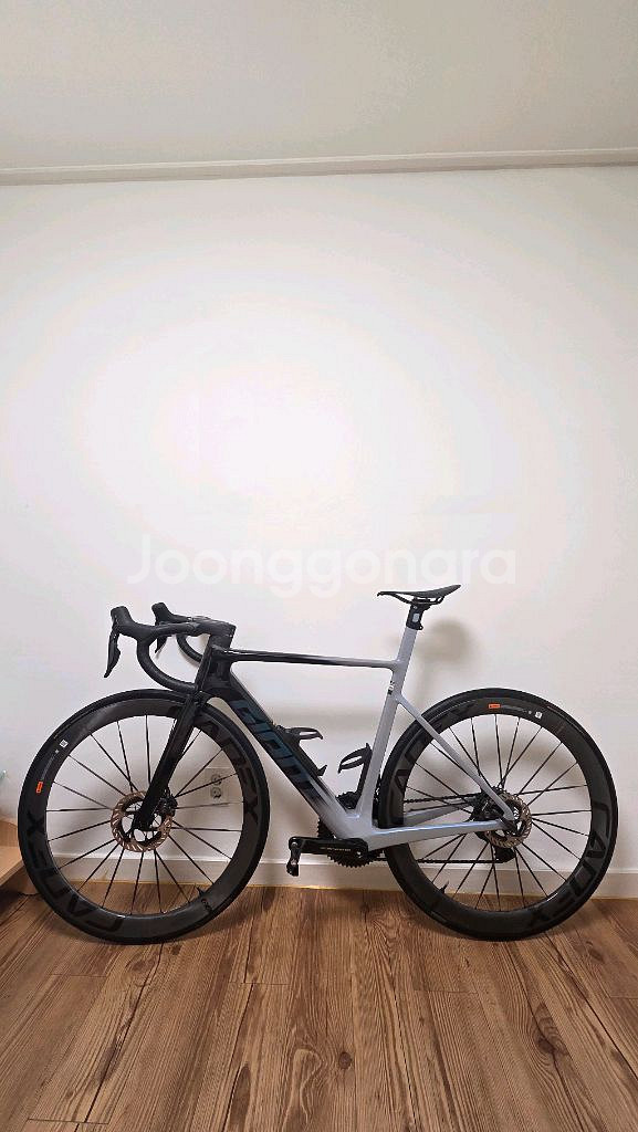 2024 자이언트 프로펠 SL0--0