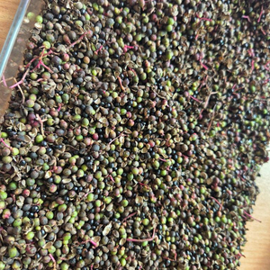 틱톡후원35렙