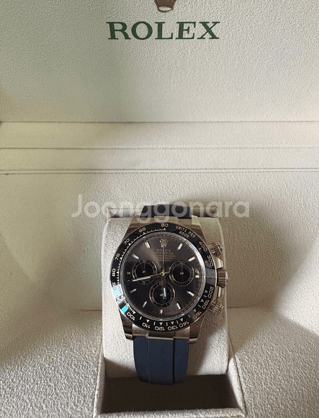 롤렉스 데이토나 로즈골드 초코러버 새상품--0