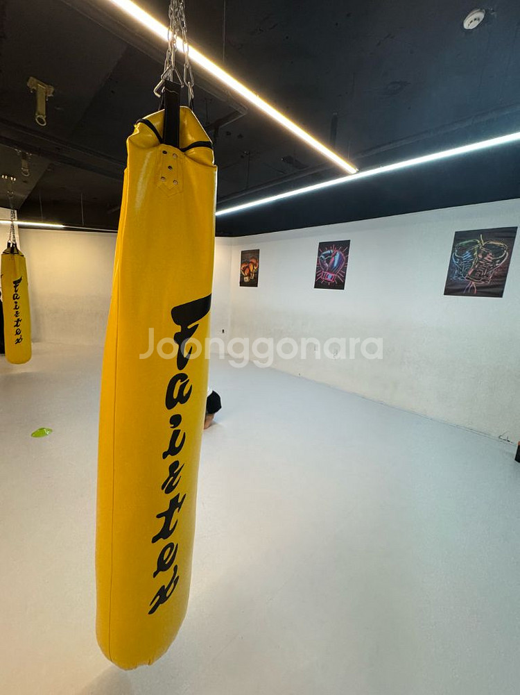 페어텍스 샌드백(노랑)2개 저렴히 드려요!--0
