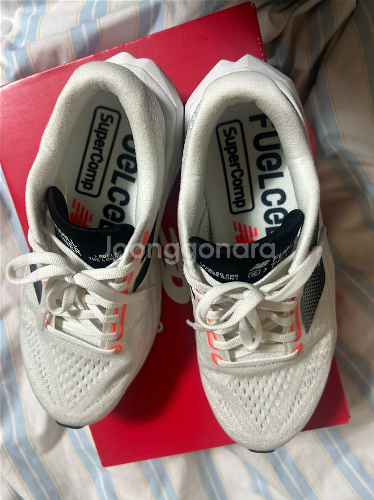 뉴발란스 퓨어셀 sc 트레이너 v3 250mm--1