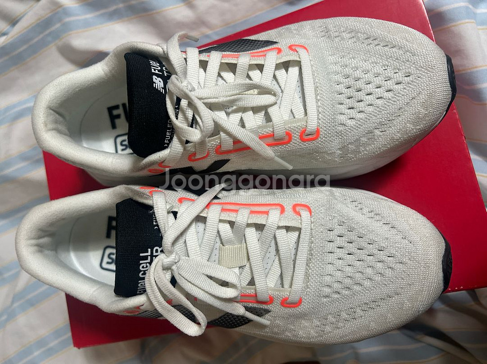 뉴발란스 퓨어셀 sc 트레이너 v3 250mm--0