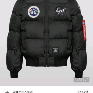 알파인더스트리 MA-1 맨 온더 문 퀼티드 L 새거