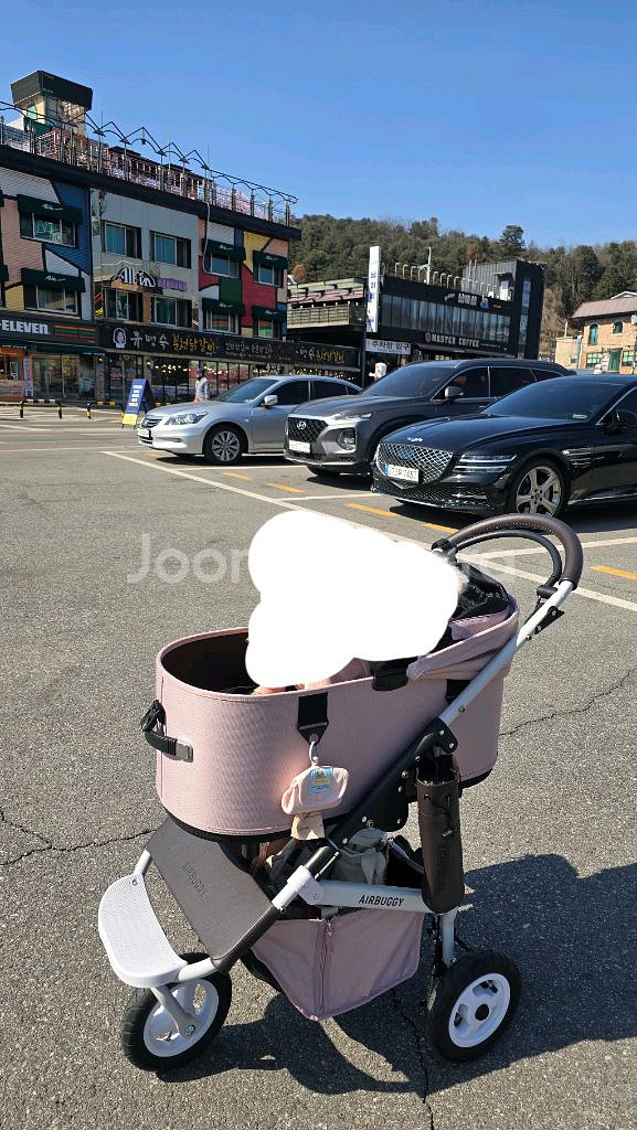 에어버기 돔3 L 블로썸 강아지유모차--2