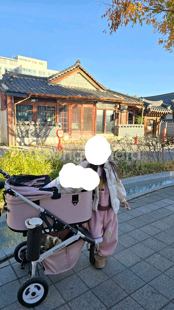 에어버기 돔3 L 블로썸 강아지유모차--5